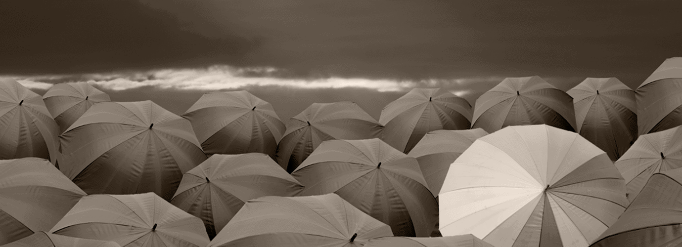 people holding umbrellas gathering on a beach watching the ocean